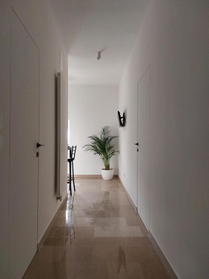 מונופולי Palazzo Accinni B&B מראה חיצוני תמונה